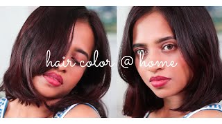 Loreal Paris Casting Creme Gloss 550 Mahogany I Hair Color  Home For Beginners [upl. by Olegnaed]