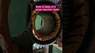 Rotor and Stator of a 3 phase induction Motor shortsship machinery ac machine [upl. by Skeie718]