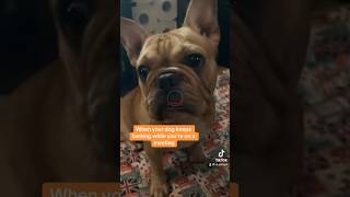 When Your Dog Wont Stop Barking During a Meeting  Virtual Assistant Jobs vajobsphilippines [upl. by Johnny761]