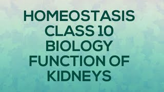 HOMEOSTASIS BIOLOGY CLASS 1O FUNCTION OF KIDNEY [upl. by Amolap610]