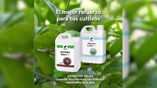 BasfoliarÂ® Spyra  VitanicaÂ® CuTan  CÃ­tricos [upl. by Beaufort60]