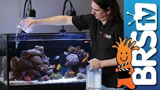 How To Dosing 2 Part in Your Reef Tank [upl. by Aramad]