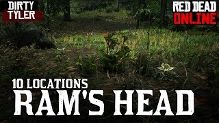 Rams Head Locations for Daily Challenges Red Dead Online RDR2 [upl. by Astiram449]