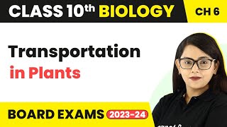 Transportation in Plants  Life Process  Class 10 Biology [upl. by Shep961]