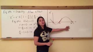 Ecology Dynamics Section 32 Allee effect [upl. by Broeder]