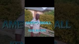 Ameyo Small  Ken Aloise [upl. by Ayomat]