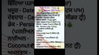 Trees🌳🌲🌴 Names in English✨newpunjabivideo youtubeshorts learnsomethingnew punjabindia trending [upl. by Eiuol31]