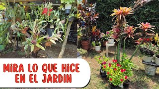 🥰TRABAJANDO EN EL JARDÍN colocando bromelias y muchos tipsLiliana Muñoz [upl. by Karly]