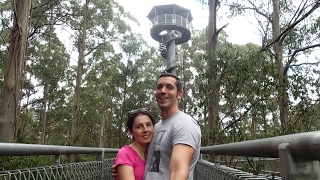 Otway Fly Treetop Adventures Tree Top Walk  Otway Ranges  Victoria Australia  Great Ocean Road [upl. by Eked]