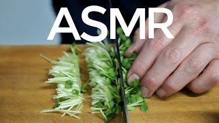 ASMR Cooking English subtitles [upl. by Vitoria758]