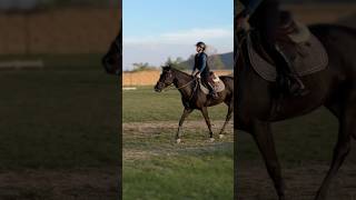 Happy Wednesday yesterday I rode Lady Darry 🐴🩷 gilaryeq equestrian techstirrups horseriding [upl. by Leonore]