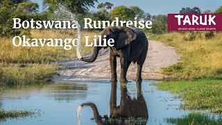 BotswanaRundreise Okavango Lilie – Safaris im Okavango Delta Caprivi amp Chobe erleben  Filmbuch [upl. by Ymme674]