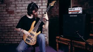 Pravitas  Signs Bass Playthrough [upl. by Vincentia464]