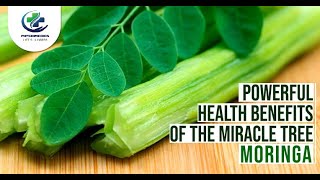 Health Benefits Of Moringa  Surprising Health Benefits Of Moringa Leaves [upl. by Neibaf368]