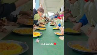 Madrasa Life ♥️  islamicquotes madrasalife alihossainvlogs urdunaat [upl. by Naarah]