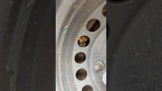 Trick to put air to the dual tires [upl. by Brentt]