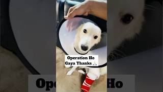 Operation Ho Gaya 🥹  minivlog [upl. by Eillil411]