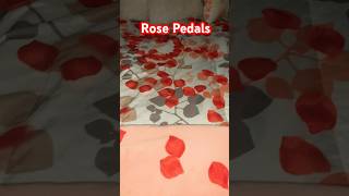 Who Would Ever Imagine This roses rosepedals [upl. by Rafter]