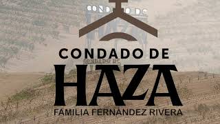 Condado haza [upl. by Odel]