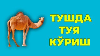 Туш табири  Тушда Туя куриш [upl. by Ginelle]