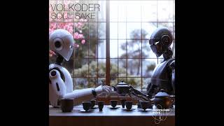 Volkoder  Soul Sake Original Mix REPOPULATE MARS [upl. by Esirrehc]