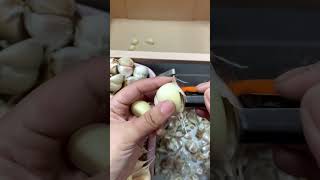 Quickly peel garlic satisfying [upl. by Xanthe]