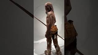 Otzi the 3275 BC iceman [upl. by Ettevi]