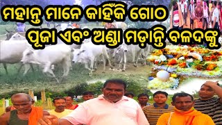 କାହିଁକି ପାଳନ କରାଯାଏ ଅଣ୍ଡା ମଡ଼ା ପର୍ବ ‼️ଗୋଠ ପୂଜାରେ କଣ ଘଟିଲା ‼️GUTHANI PUJA guthanipuja bandonaparab [upl. by Millian]