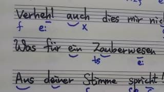 Schumann Ihre Stimme Text Aussprache 슈만 당신의 목소리 가사발음 [upl. by Emmey]