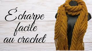 Comment faire une écharpe facile et rapide au crochet  tuto en pas à pas [upl. by Claud887]