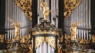 Sietze de Vries  Workum St Gertrudiskerk Improvisation psalm 139 [upl. by Hewet636]