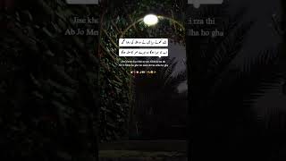 InshAllah ❤️😊 Ummeayesha drama OST instrument   new music  Pakistani drama OST  viralvideo [upl. by Lolly10]