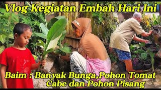 VLOG KEGIATAN EMBAH MENANAM BUNGA DIHALAMAN RUMAH [upl. by Barina985]