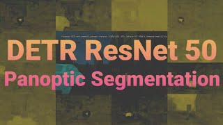 DETR ResNet 50 Panoptic Segmentation [upl. by Noremac]