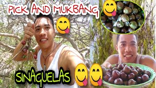 SINAGUELAS PICK AND MUKBANG 😋  HOW TO HARVEST SINAGUELAS MARINONG HOMEBOY [upl. by Assylem]