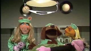 The Muppet Show Veterinarians Hospital  Recording Room Sound Guy [upl. by Arreyt]