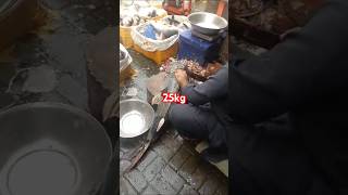 25 Kg Goonch Catfish Cutting Skills In Fish Market fishcutting fishing food freshwaterfish [upl. by Aoh943]