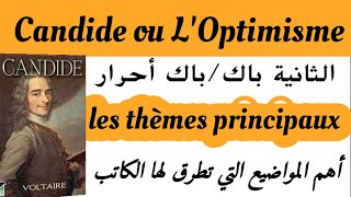 Candide ou LOptimisme les thèmes principaux de Candide2bac et bac libre كنديدVoltaire [upl. by Koenraad]