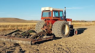 More field work with the IH 1066 [upl. by Aicileb]