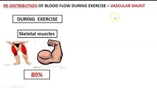 Redistribution of blood flow Vascular shunt [upl. by Anitnas]