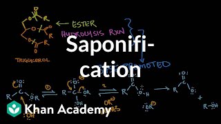 Saponification  Base promoted ester hydrolysis  MCAT  Khan Academy [upl. by Vacuva623]