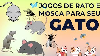 Jogos de Rato 🐀 e Mosca 🦟 Para seu Gato mouse ratos gatos mosca jogos virais [upl. by Orimar623]