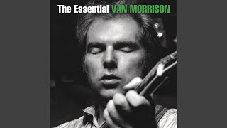 Van Morrison  Wild Night Live at the Santa Monica Civic  Audio [upl. by Kcid]