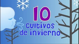 10 Cultivos de Invierno para La Huerta  La Huerta de Daniel 🌻 [upl. by Ahseet]