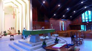 St Raymond Menlo Park Live Stream [upl. by Phil]