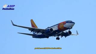 Airbus A306 Boeing 737 Frontier Southwest United UPS  Planespotting 101524 [upl. by Peper]