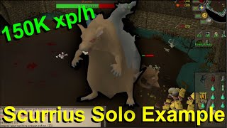 OSRS Scurrius Solo Kill Example with Scythe of Virtur [upl. by Mason]