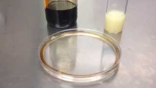 Biosurfactant clearing crude oil [upl. by Nosille145]