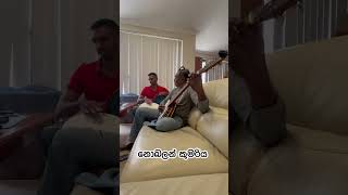 නොබලන් කුමරිය shortvideo youtubeshorts percussion music banjo [upl. by Gwenneth42]