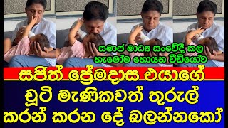 සජිත් සමාජ මාධ්‍ය යළිත් කළඹයි  Sajith Premadasa daughter  Jalani Premadasa  gossip [upl. by Bertasi980]